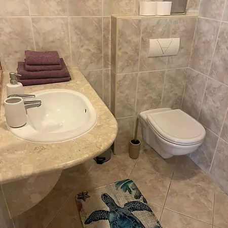 Apartment Zanetic *