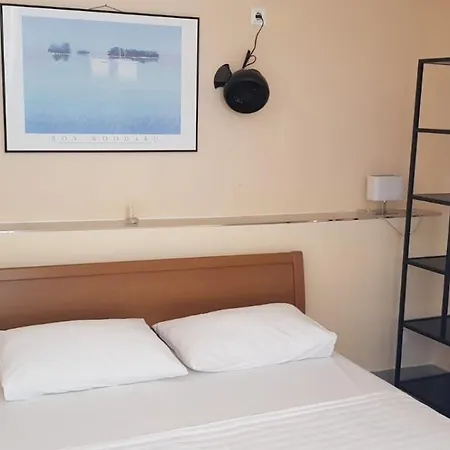 Zanetic * زاتون