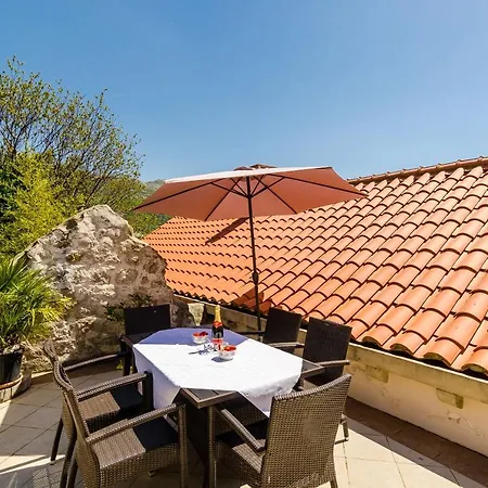 Zanetic * زاتون